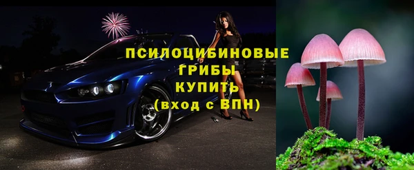 стафф Майский