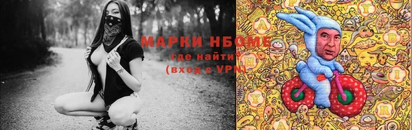 стафф Майский