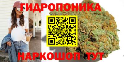 хмурый Гусь-Хрустальный